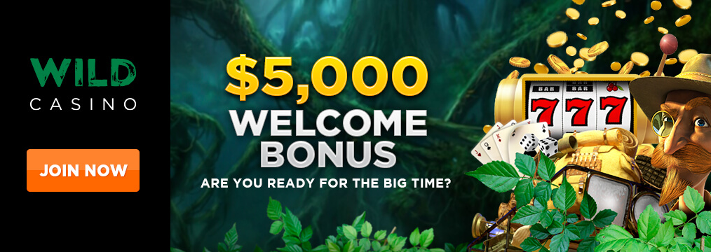 wild casino bonus code