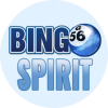 bingospirit casino review